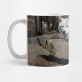 Arctic Wolf Mug